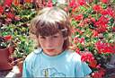 marine geraniums 94.jpg